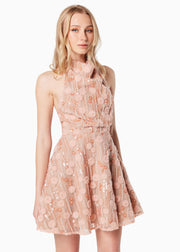 Amiens Dress