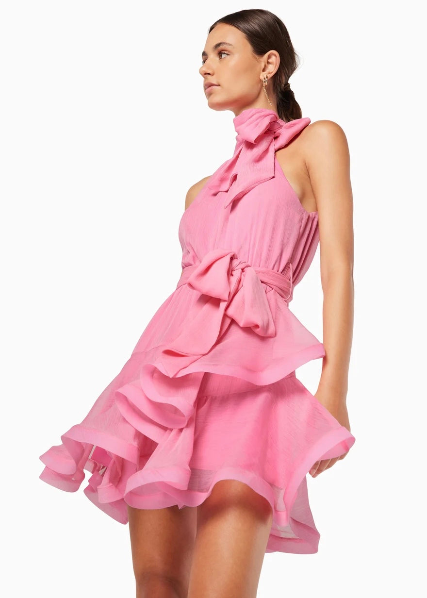 Swan Dress