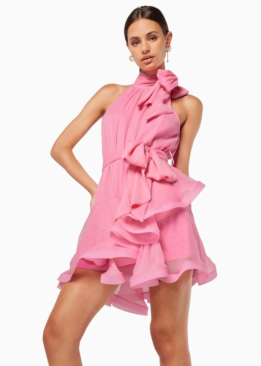 Swan Dress