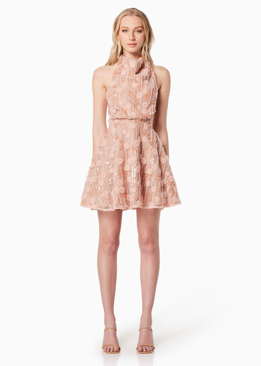 Amiens Dress