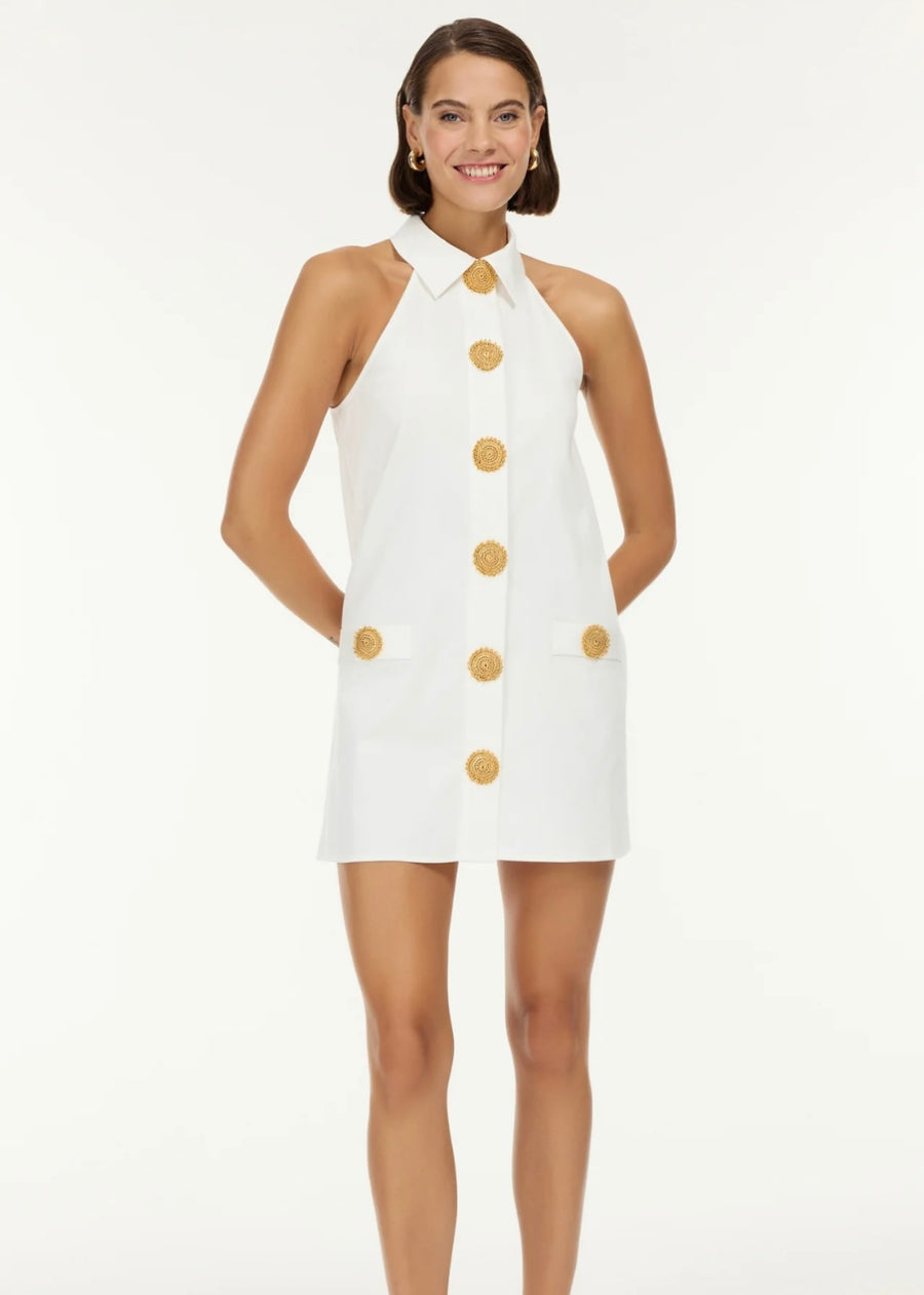 Amber Mini Dress