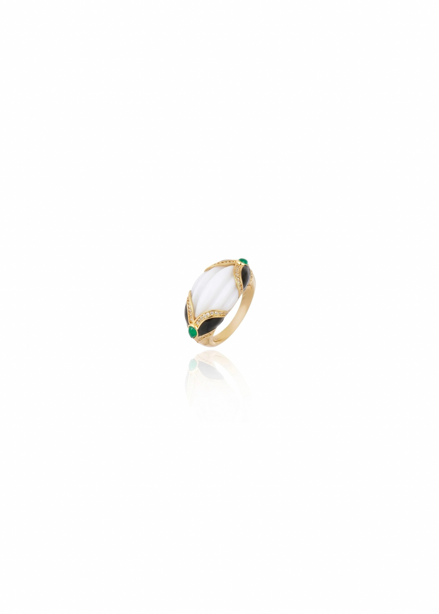 Andes Ring