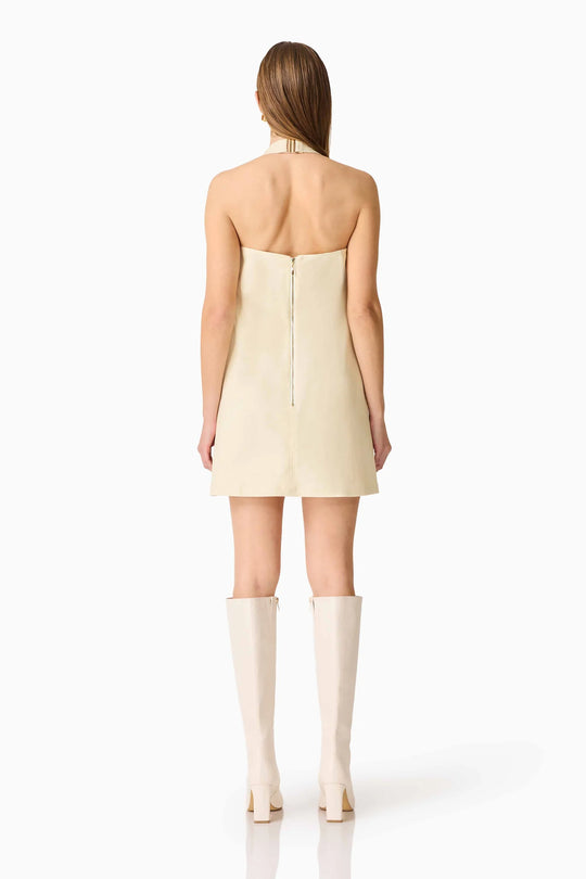 Lavelle Mini Dress