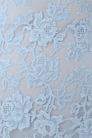 Gillian Lace Dress