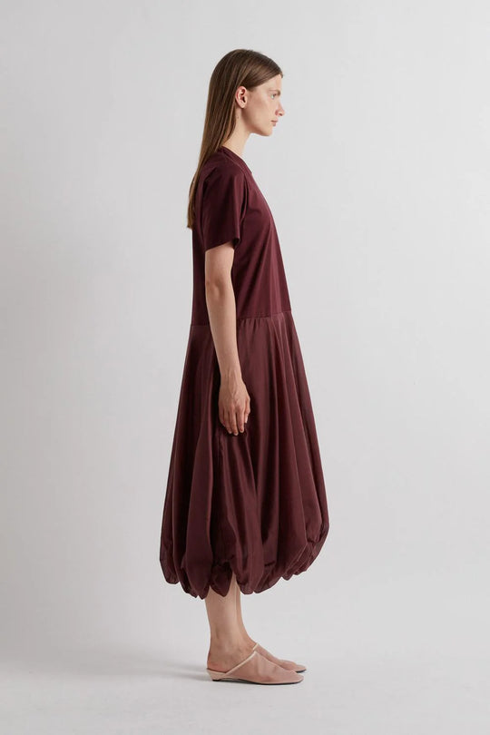 Zev Dress
