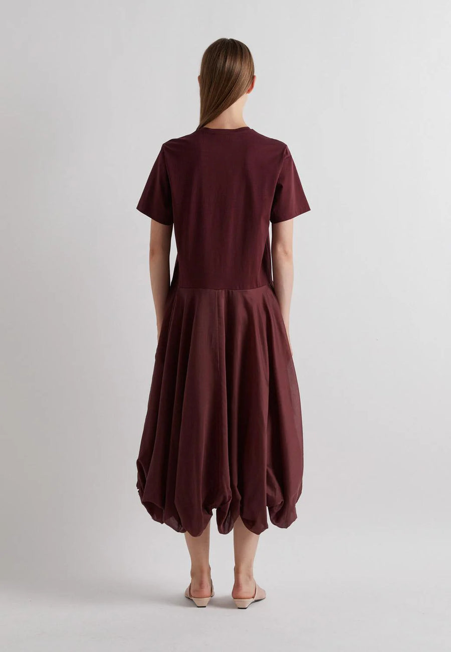 Zev Dress