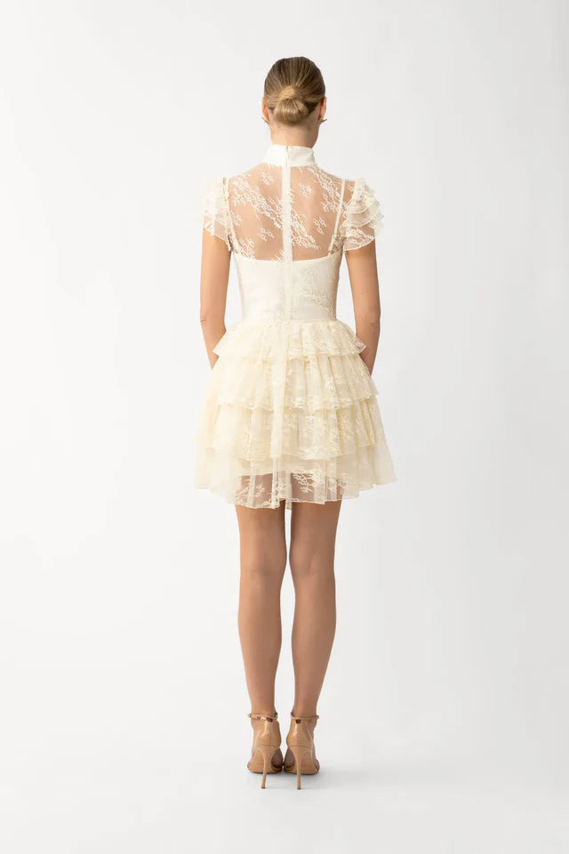 Roux Mini Dress