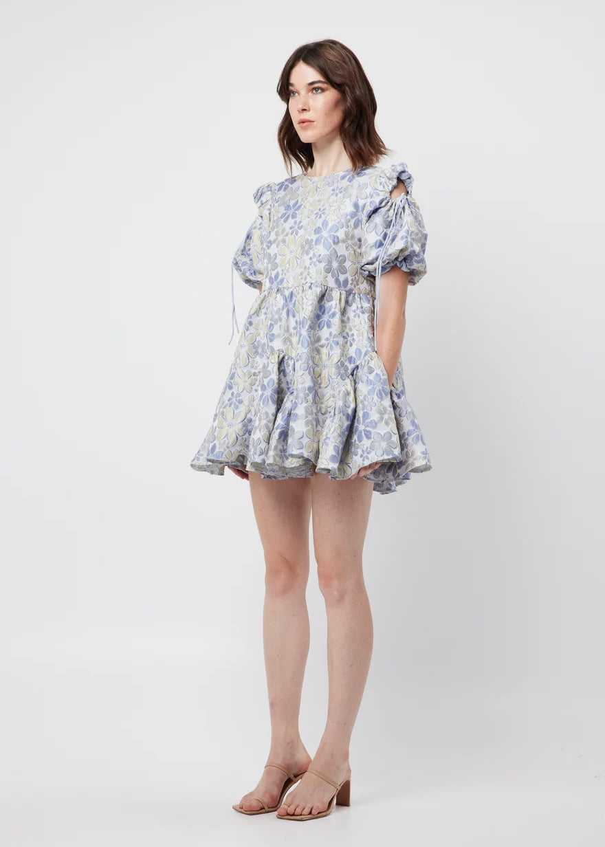 Aquatint Dress